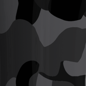 Black Camo